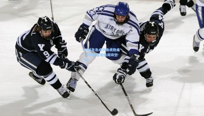 内线告急成华南虎隐痛 年轻阵容难填周琦空缺