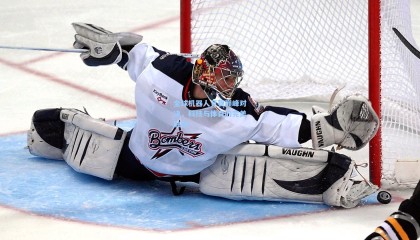 全球机器人竞赛巅峰对决，科技与体育的完美融合